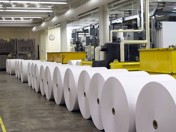 paper mills pune